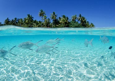 Salt Water Fishing